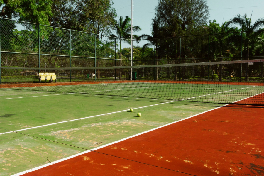 Cancha