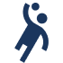 Icono Standard